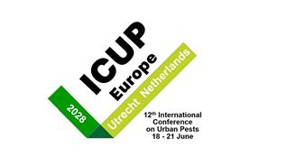 icup 2028